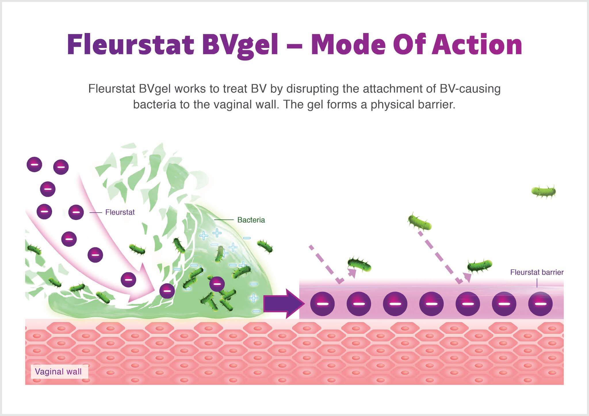 Fleurstat BVGel - Mode Of Action