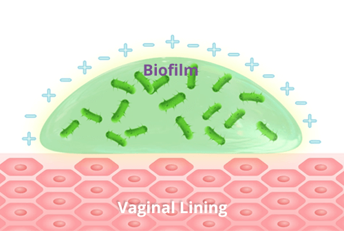Biofilm image Fleurstat BV Gel mode of action - how Fleurstat works