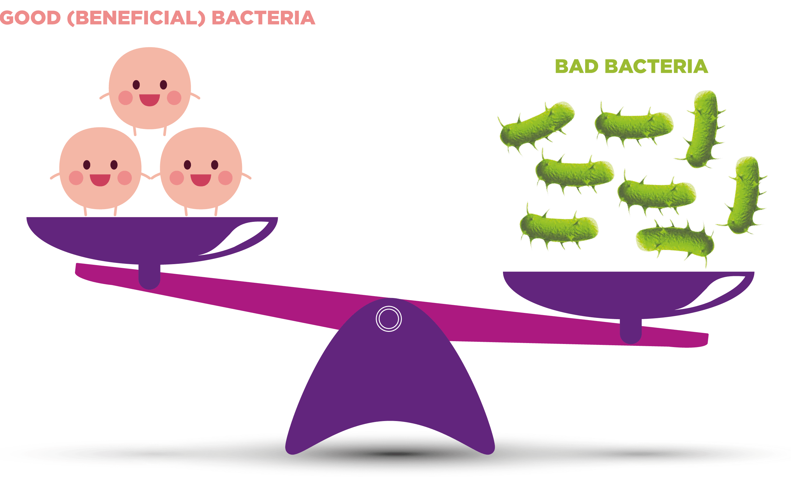 good bacteria vs bad bacteria