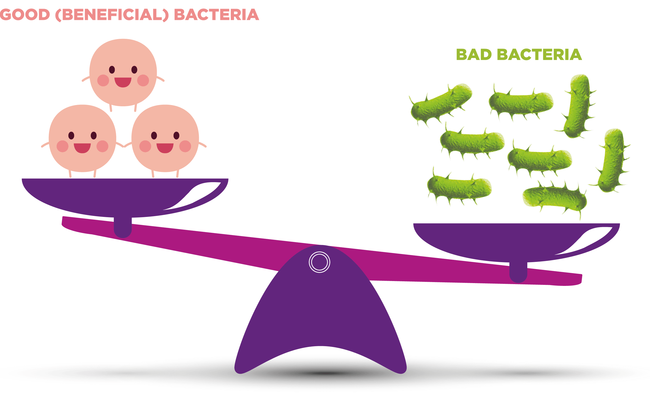 good bacteria vs bad bacteria good bacteria vs bad bacteria