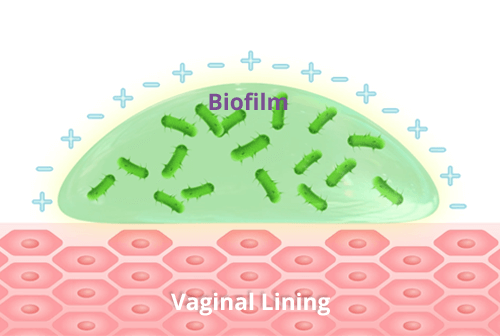 Biofilm